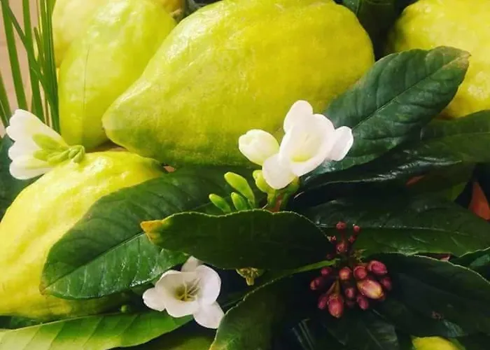 住宿加早餐酒店 Arcobaleno Magico 圣玛丽亚德尔西德